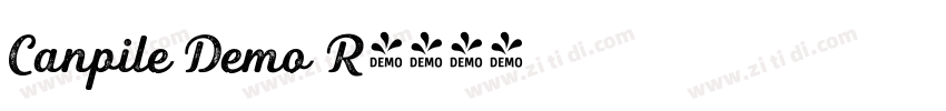 Canpile Demo R字体转换